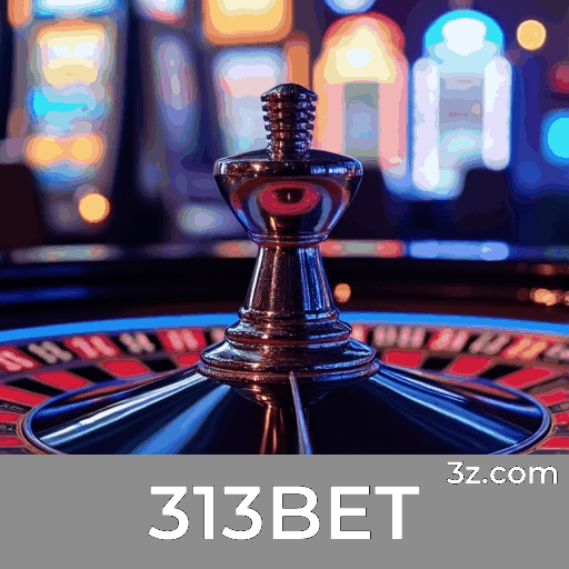 313BET: A Plataforma de Apostas com Segurança e Serviços Profissionais
