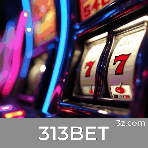 313BET: A Plataforma de Apostas com Segurança e Serviços Profissionais